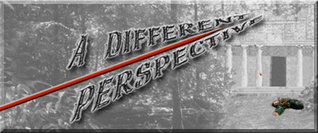 Link to 'A Different Perspective'