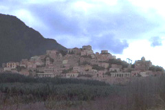 Do they grow oranges here?